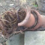 sewer line | sewer backup | sewer clog | clogged sewer | plumbing sewer | drain sewer