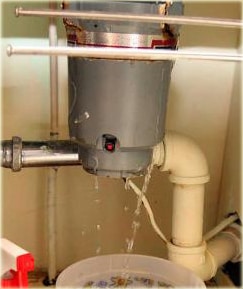 Garbage Disposal Leaking How To Diy Leaky Garbage Disposal