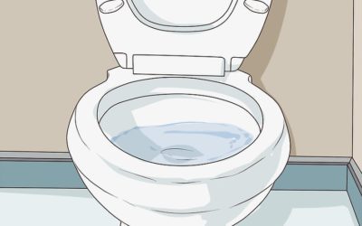 Power Flush Toilets