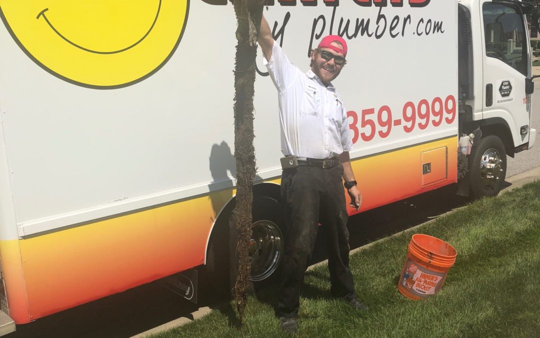 Tree Roots in Drains