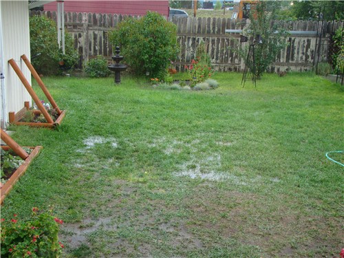 Water Leak in Your Yard