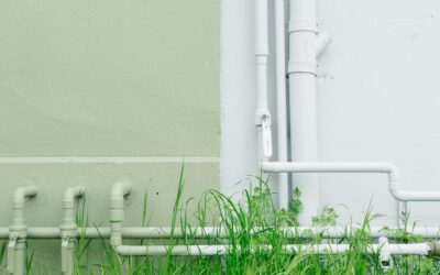 Eco-friendly Plumbing Solutions for Indianapolis Residents